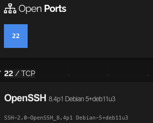 Shodan2
