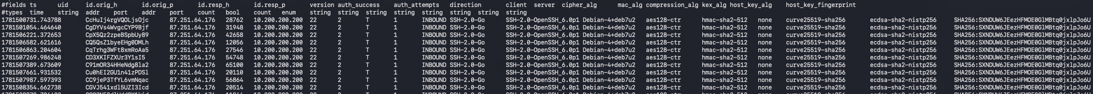 Zeek SSH Log